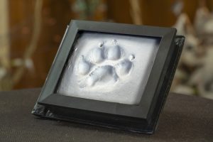 Pet Memorials North Wales North West Wirral paw print