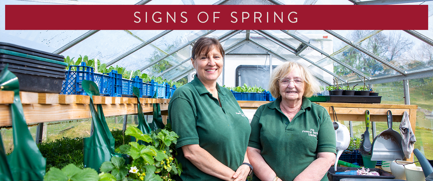 We love this time of year at The Pet Cemetery Holywell. The gardens are brimming with flowers in bloom and Summer is just around the corner. Spring has well and truly sprung!
